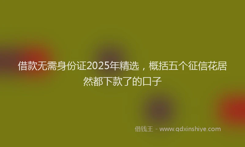 借款无需身份证2025年精选，概括五个征信花居然都下款了的口子