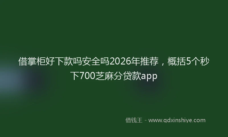 借掌柜好下款吗安全吗2026年推荐，概括5个秒下700芝麻分贷款app