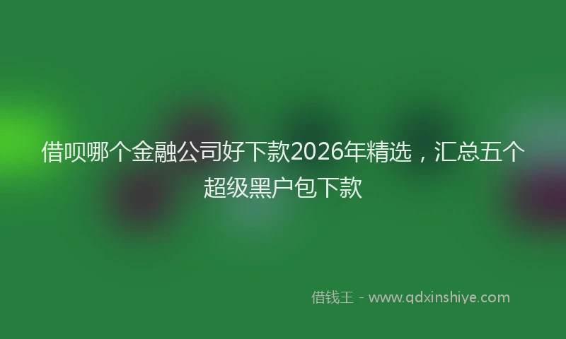 借呗哪个金融公司好下款2026年精选,汇总五个超级黑户包下款