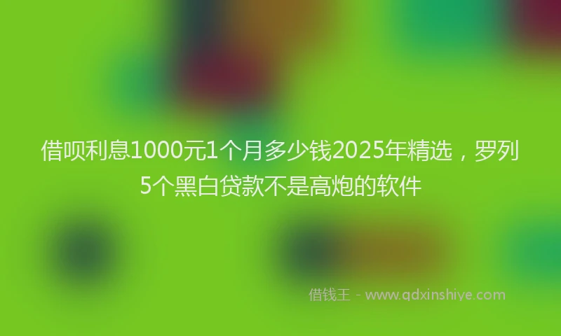 借呗利息1000元1个月多少钱2025年精选，罗列5个黑白贷款不是高炮的软件
