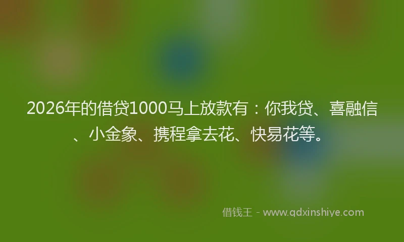 2026年的借贷1000马上放款有：你我贷、喜融信、小金象、携程拿去花、快易花等。