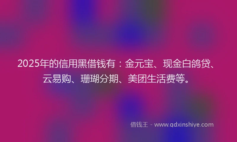 2025年的信用黑借钱有:金元宝、现金白鸽贷、云易购、珊瑚分期、美团生活费等。