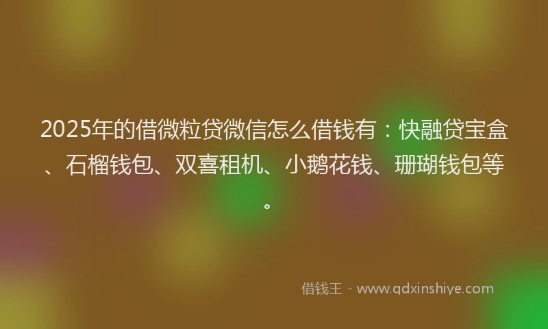 2025年的借微粒贷微信怎么借钱有：快融贷宝盒、石榴钱包、双喜租机、小鹅花钱、珊瑚钱包等。