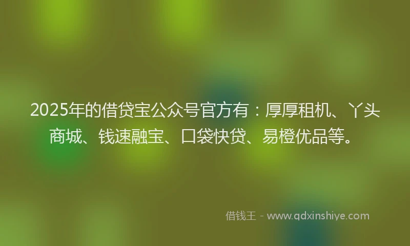 2025年的借贷宝公众号官方有:厚厚租机、丫头商城、钱速融宝、口袋快贷、易橙优品等。