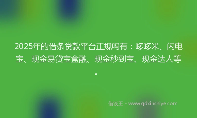 2025年的借条贷款平台正规吗有：哆哆米、闪电宝、现金易贷宝盒融、现金秒到宝、现金达人等。