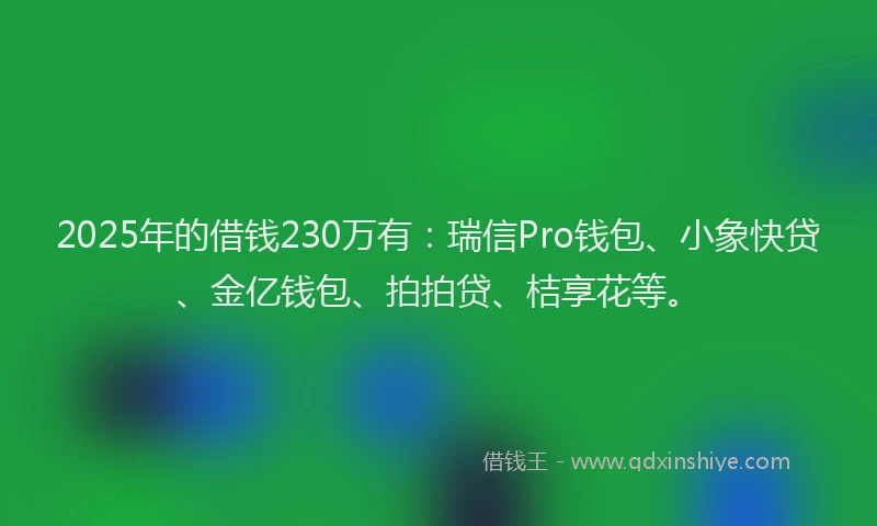 2025年的借钱230万有：瑞信Pro钱包、小象快贷、金亿钱包、拍拍贷、桔享花等。