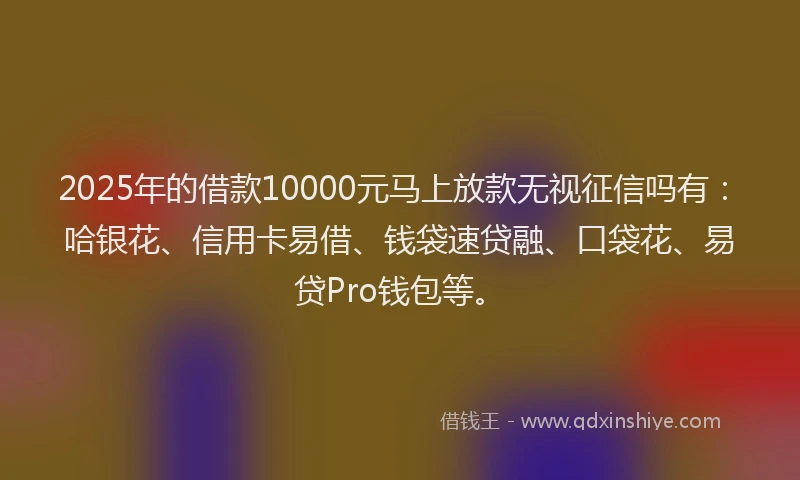 2025年的借款10000元马上放款无视征信吗有：哈银花、信用卡易借、钱袋速贷融、口袋花、易贷Pro钱包等。