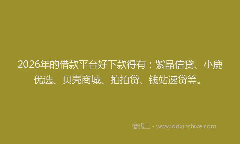 2026年的借款平台好下款得有：紫晶信贷、小鹿优选、贝壳商城、拍拍贷、钱站速贷等。