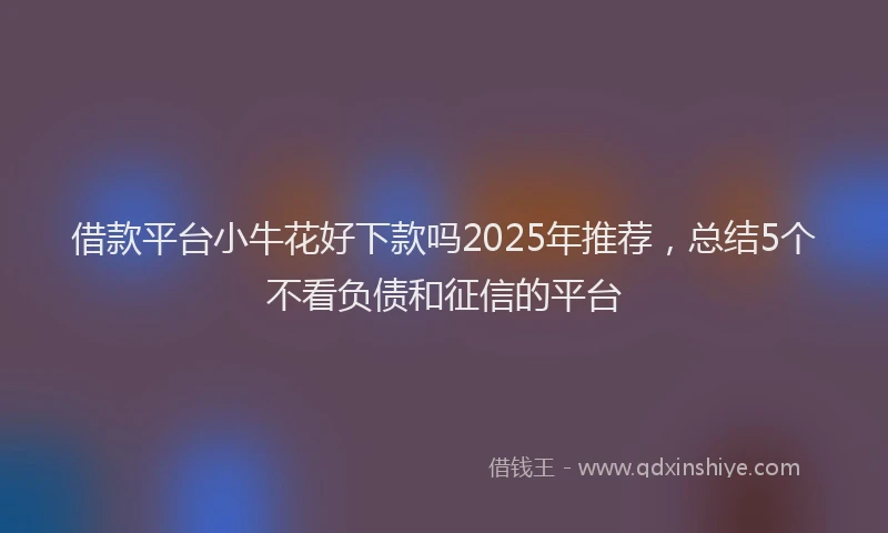 借款平台小牛花好下款吗2025年推荐，总结5个不看负债和征信的平台