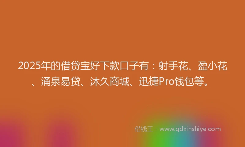 2025年的借贷宝好下款口子有：射手花、盈小花、涌泉易贷、沐久商城、迅捷Pro钱包等。