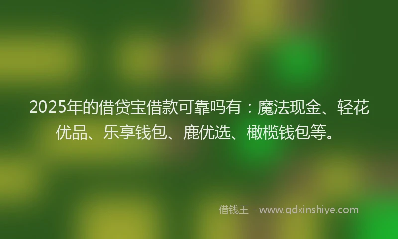 2025年的借贷宝借款可靠吗有：魔法现金、轻花优品、乐享钱包、鹿优选、橄榄钱包等。