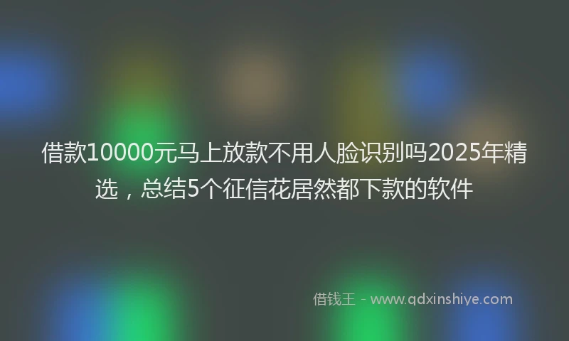 借款10000元马上放款不用人脸识别吗2025年精选，总结5个征信花居然都下款的软件