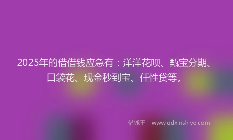 2025年的借借钱应急有：洋洋花呗、甄宝分期、口袋花、现金秒到宝、任性贷等。