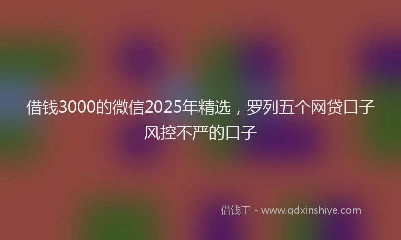 借钱3000的微信2025年精选，罗列五个网贷口子风控不严的口子