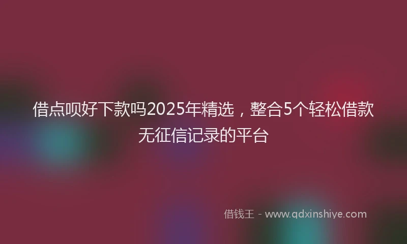 借点呗好下款吗2025年精选,整合5个轻松借款无征信记录的平台