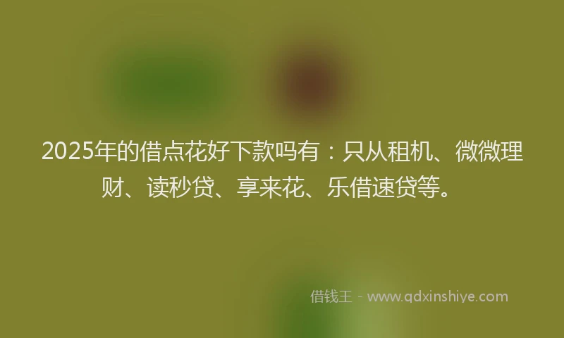 2025年的借点花好下款吗有:只从租机、微微理财、读秒贷、享来花、乐借速贷等。