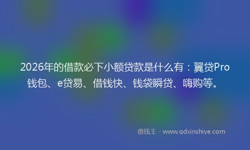 2026年的借款必下小额贷款是什么有：翼贷Pro钱包、e贷易、借钱快、钱袋瞬贷、嗨购等。