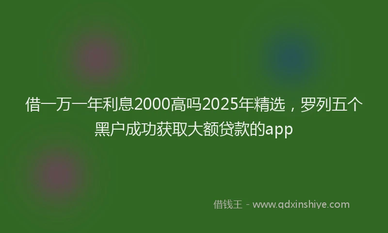 借一万一年利息2000高吗2025年精选，罗列五个黑户成功获取大额贷款的app