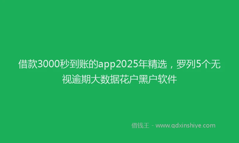 借款3000秒到账的app2025年精选，罗列5个无视逾期大数据花户黑户软件