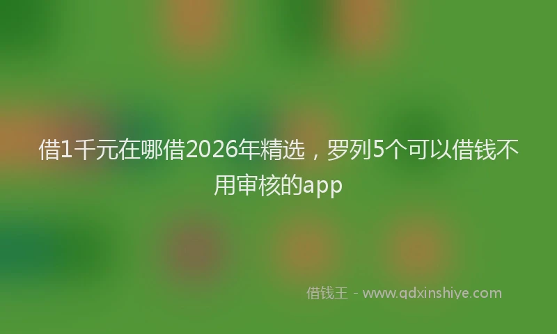 借1千元在哪借2026年精选，罗列5个可以借钱不用审核的app