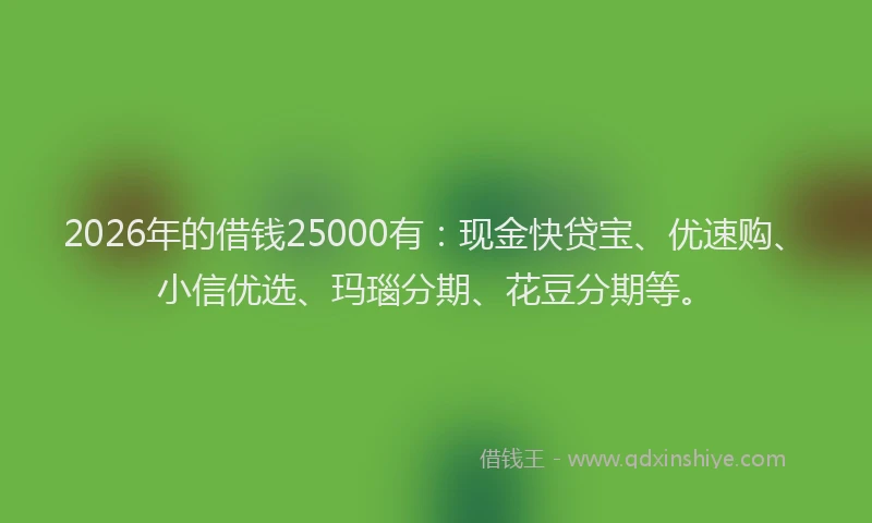 2026年的借钱25000有：现金快贷宝、优速购、小信优选、玛瑙分期、花豆分期等。