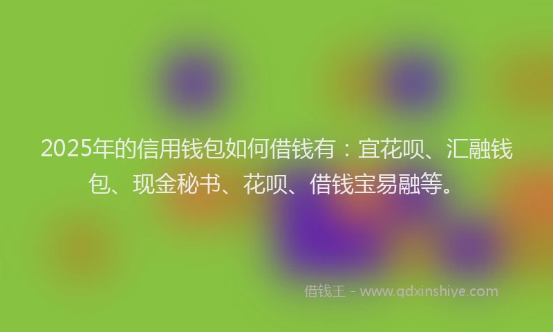 2025年的信用钱包如何借钱有：宜花呗、汇融钱包、现金秘书、花呗、借钱宝易融等。