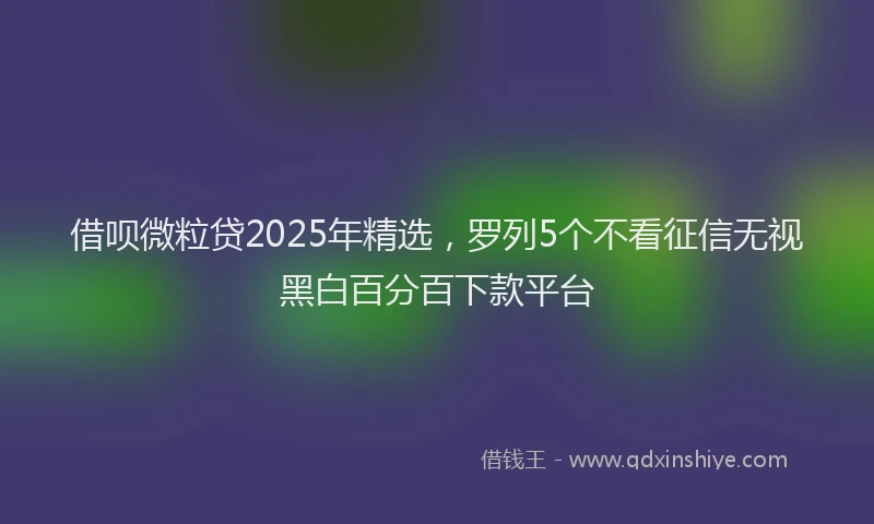 借呗微粒贷2025年精选,罗列5个不看征信无视黑白百分百下款平台