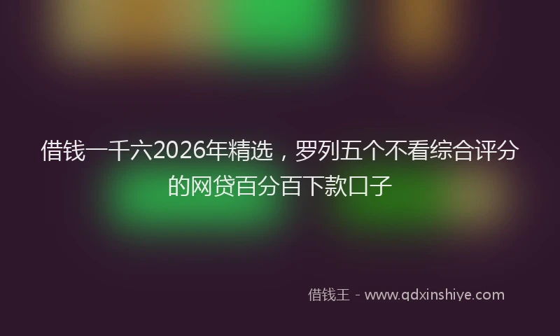 借钱一千六2026年精选,罗列五个不看综合评分的网贷百分百下款口子
