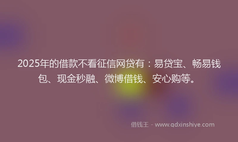 2025年的借款不看征信网贷有：易贷宝、畅易钱包、现金秒融、微博借钱、安心购等。