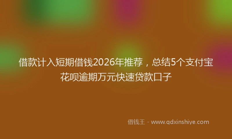 借款计入短期借钱2026年推荐，总结5个支付宝花呗逾期万元快速贷款口子
