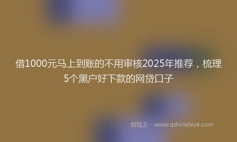 借1000元马上到账的不用审核2025年推荐，梳理5个黑户好下款的网贷口子