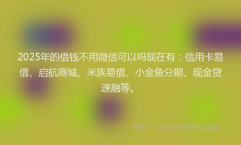 2025年的借钱不用微信可以吗现在有：信用卡易借、启航商城、米族易借、小金鱼分期、现金贷速融等。