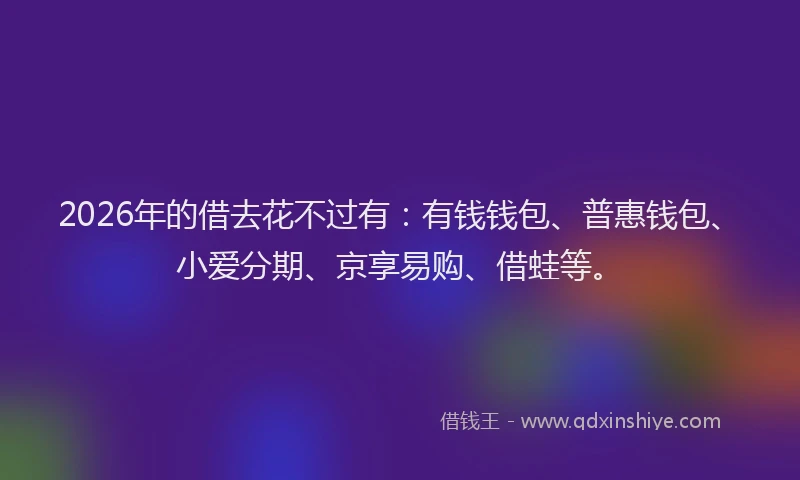 2026年的借去花不过有:有钱钱包、普惠钱包、小爱分期、京享易购、借蛙等。