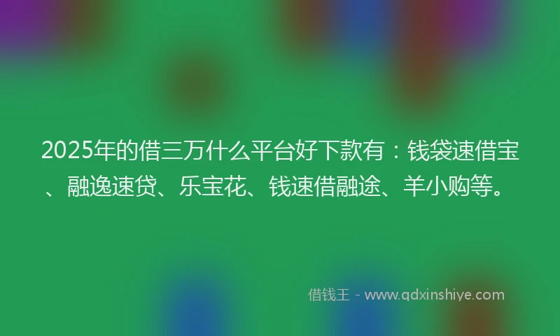 2025年的借三万什么平台好下款有:钱袋速借宝、融逸速贷、乐宝花、钱速借融途、羊小购等。