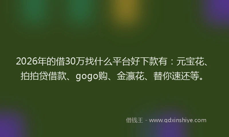 2026年的借30万找什么平台好下款有:元宝花、拍拍贷借款、gogo购、金瀛花、替你速还等。
