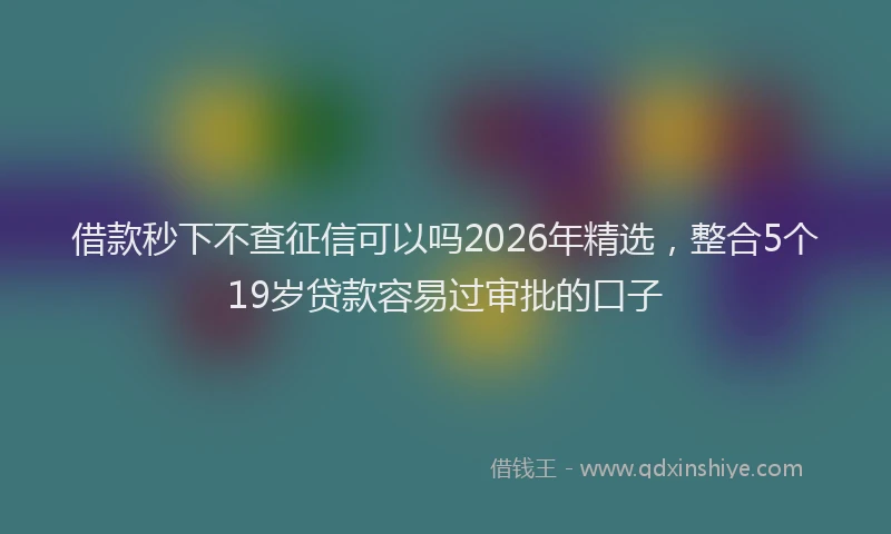 借款秒下不查征信可以吗2026年精选,整合5个19岁贷款容易过审批的口子