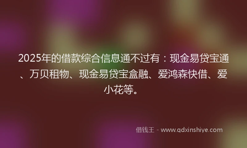 2025年的借款综合信息通不过有:现金易贷宝通、万贝租物、现金易贷宝盒融、爱鸿森快借、爱小花等。