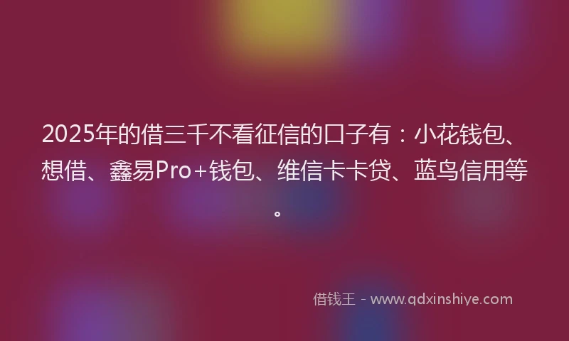 2025年的借三千不看征信的口子有:小花钱包、想借、鑫易Pro+钱包、维信卡卡贷、蓝鸟信用等。