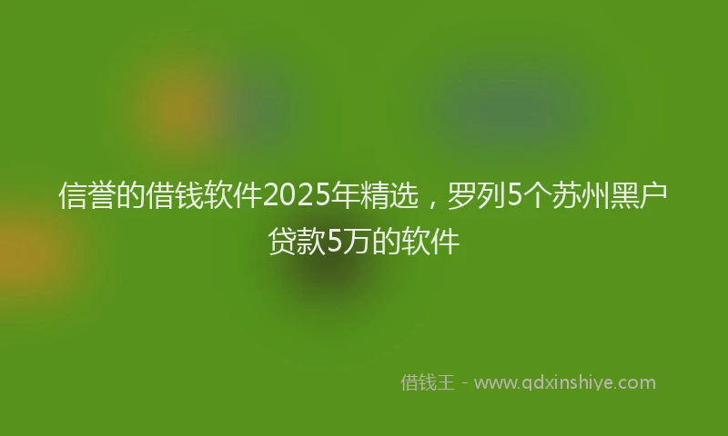 信誉的借钱软件2025年精选，罗列5个苏州黑户贷款5万的软件