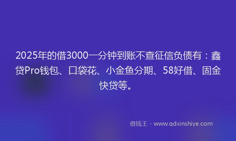 2025年的借3000一分钟到账不查征信负债有：鑫贷Pro钱包、口袋花、小金鱼分期、58好借、固金快贷等。