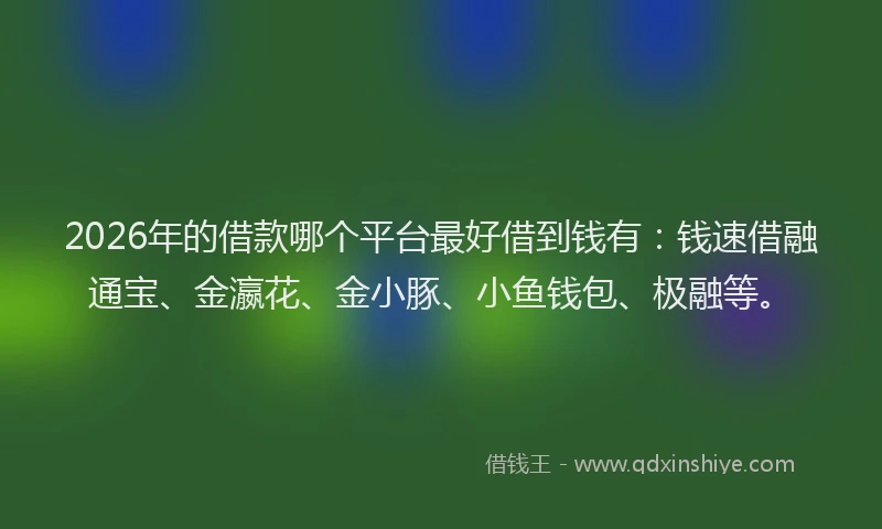 2026年的借款哪个平台最好借到钱有:钱速借融通宝、金瀛花、金小豚、小鱼钱包、极融等。