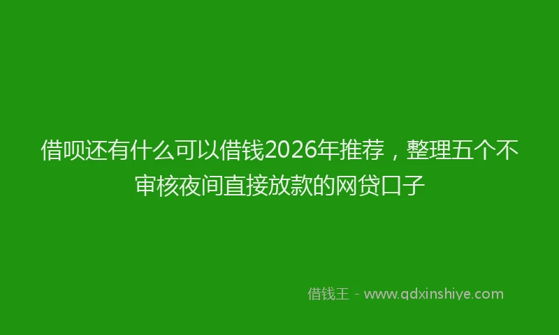 借呗还有什么可以借钱2026年推荐，整理五个不审核夜间直接放款的网贷口子