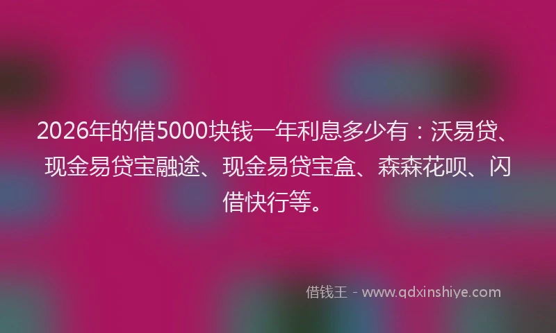 2026年的借5000块钱一年利息多少有:沃易贷、现金易贷宝融途、现金易贷宝盒、森森花呗、闪借快行等。