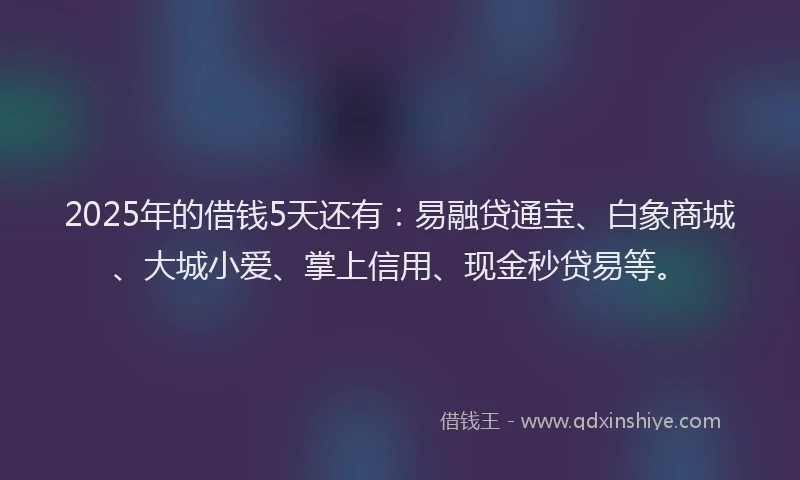 2025年的借钱5天还有：易融贷通宝、白象商城、大城小爱、掌上信用、现金秒贷易等。