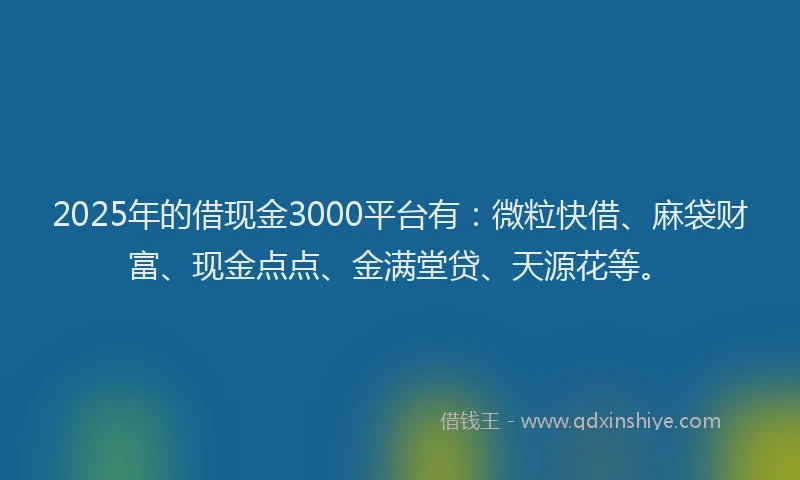 2025年的借现金3000平台有：微粒快借、麻袋财富、现金点点、金满堂贷、天源花等。