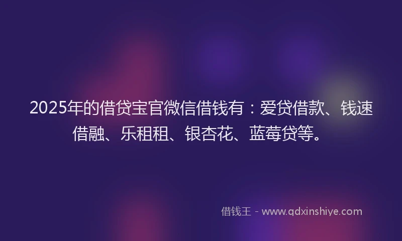 2025年的借贷宝官微信借钱有:爱贷借款、钱速借融、乐租租、银杏花、蓝莓贷等。