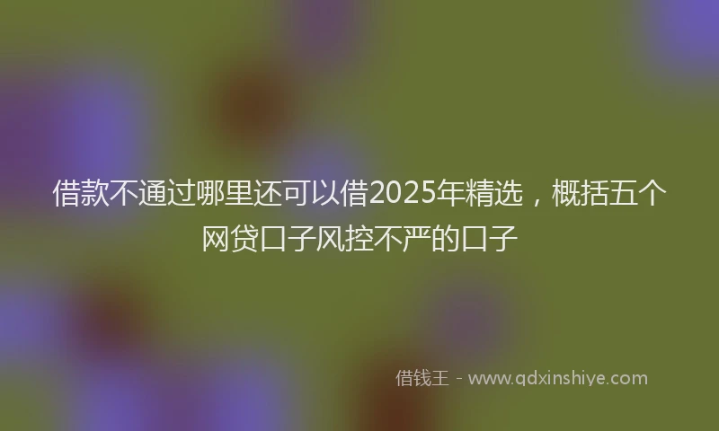 借款不通过哪里还可以借2025年精选，概括五个网贷口子风控不严的口子