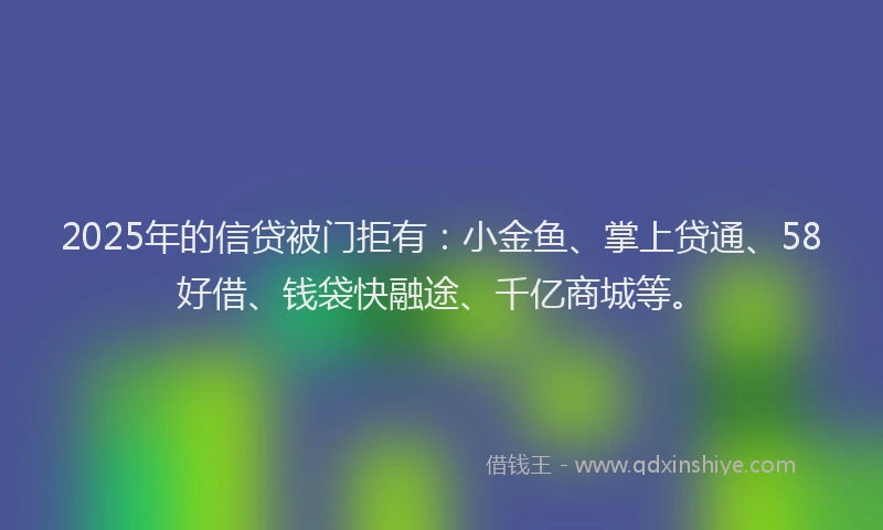 2025年的信贷被门拒有：小金鱼、掌上贷通、58好借、钱袋快融途、千亿商城等。