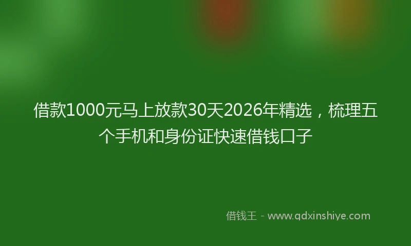 借款1000元马上放款30天2026年精选，梳理五个手机和身份证快速借钱口子