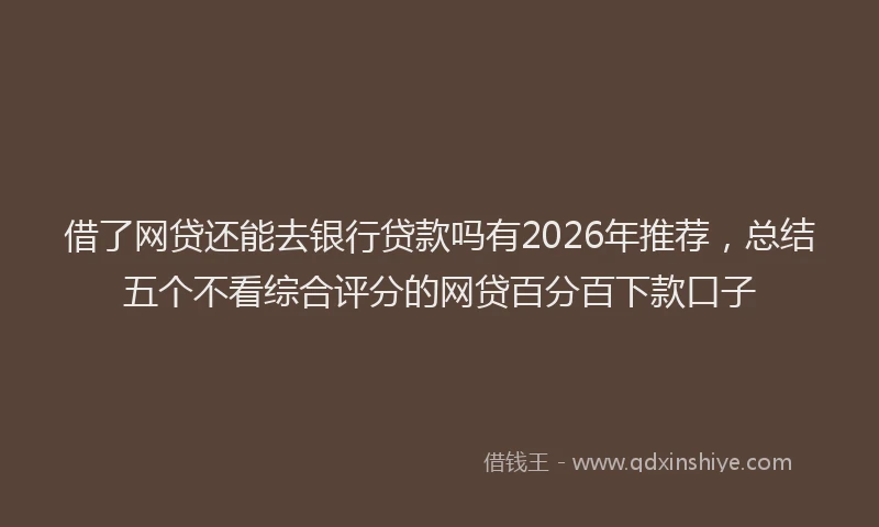 借了网贷还能去银行贷款吗有2026年推荐，总结五个不看综合评分的网贷百分百下款口子